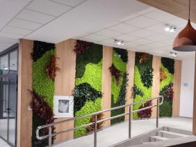 БИОборд изгради зелена стена MOSS wild в Библиотека Бургас