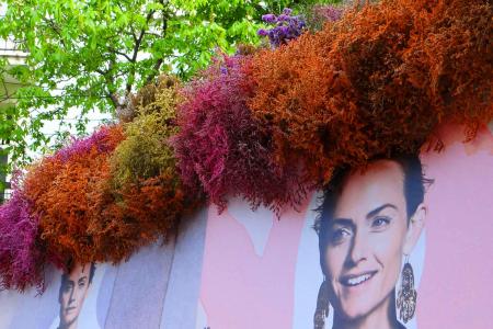 Проекти с цветя и трева