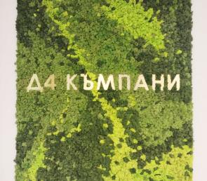 Брандинг от три цвята мъх