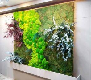 Green wall in the lobby of a private apartment