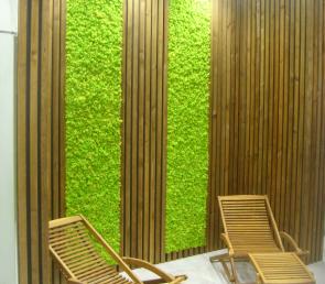 Green polar moss panels in a gym