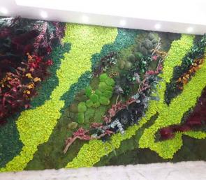 Green wall series MOSS wild at a showroom