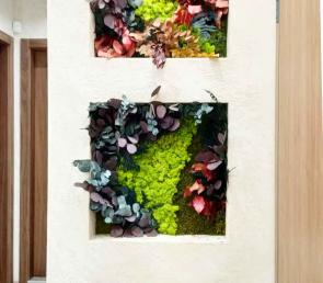 Green panels from preserved plants in an apartment
