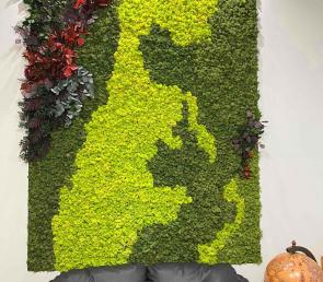 Зеленo панo MOSS wild в адвокатска кантора