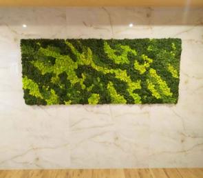 Decorative panels a combination of three colors of moss