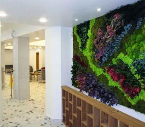 Vertical greenery MOSS wild in Grand Hotel Sunny Beach