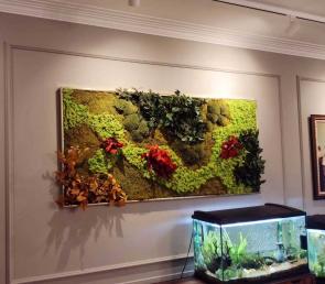 Green picture made of preserved moss and plants