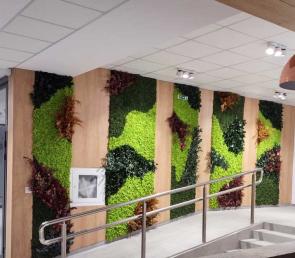 Vertical garden MOSS wild