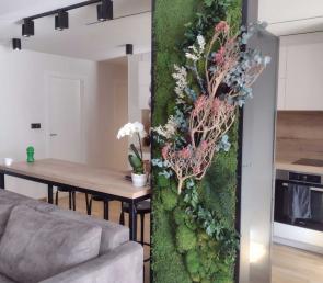 Green wall MOSS wild at a private house