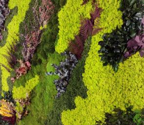Vertical garden at a private house