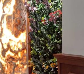 Зелени стени от мъх и горска растителност в заведение