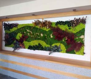 Зелена стена MOSS wild в ресторант в град Казанлък