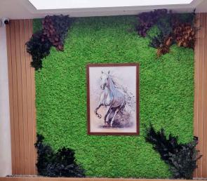 Green wall with a painting at an entrance lobby