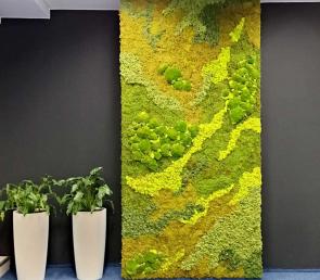 MOSS walls with creative natural compositions