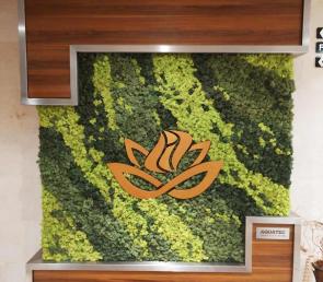 Green wall with moss logo in Hotel International