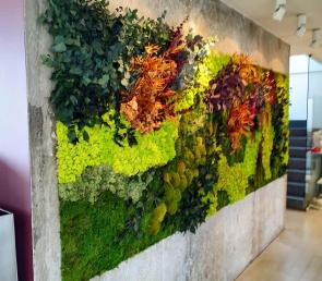Зелена стена MOSS wild в мезонет