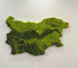 Карта на България oт три цвята мъх