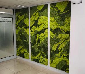 Marble mix of three colors moss in a law office