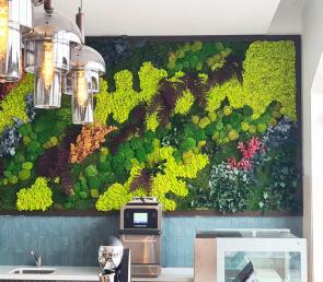 Green wall in the spa lobby of Hyatt Regency Hotel (ref.Dubai)