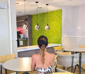 Green walls and moss panels at the Hyatt Dreams Sunny Beach Hotel