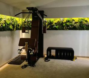 WILD green wall at a home fitness area