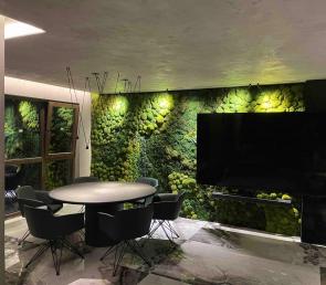 Green wall MOSSwild in the living room