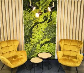 Marble melange moss walls at an open-space office