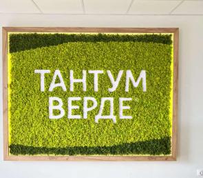 Зелена стена с брандинг на Тантум Верде