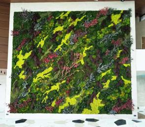 Vertical moss wall composition 7x7