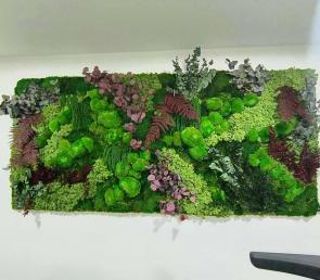 WILD green wall in the gym of a hotel in Bansko