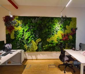 Green moss wall MOSSwild at an office in Shatha Tower, Dubai