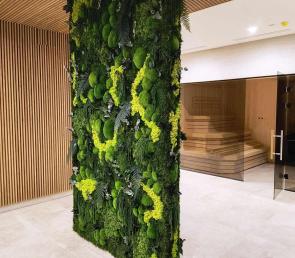 MOSS column at the SPA center of Samelyon