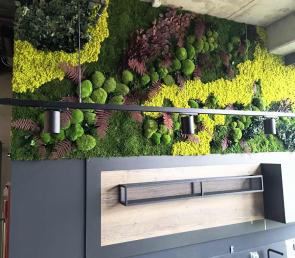 Designer green wall at Office X