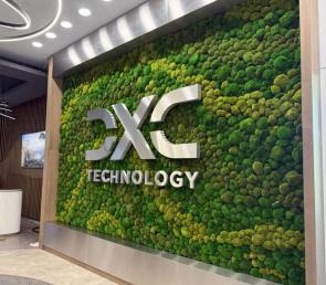 Ball moss wall in the DXC office