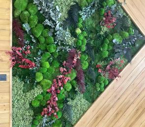 Green moss wall  in the dining room of a private house