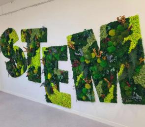 Зеленo лого на програмата STEM