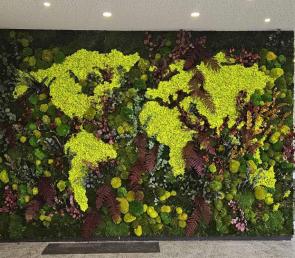 MOSS wall with the world map