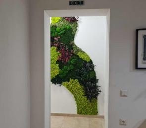 Green installation WILD in a notary office