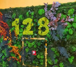 Green wall at 128.SU "Albert Einstein"