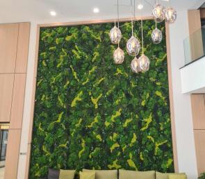 Green walls in the lobby of hotel Samelyon